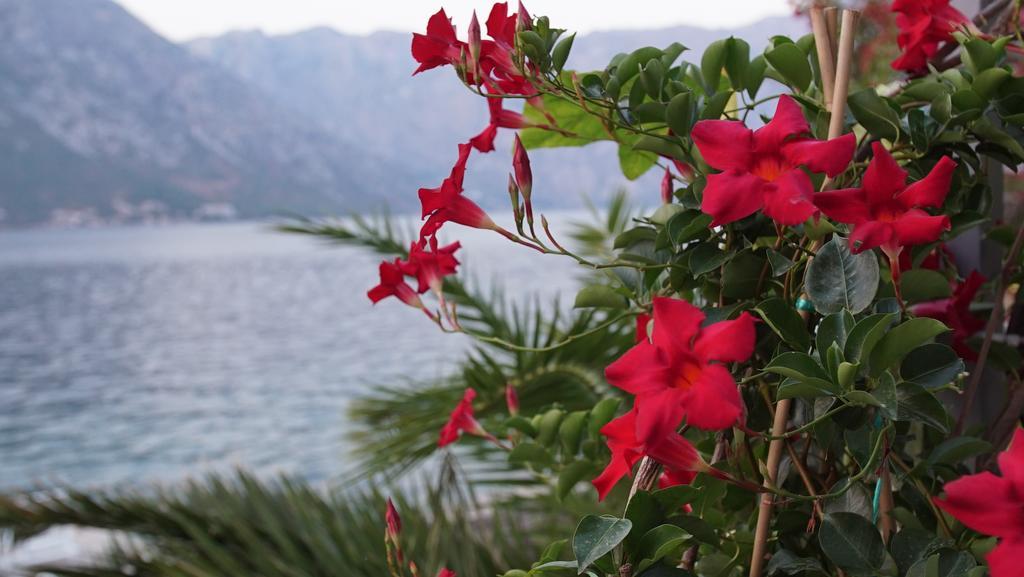 Penthouse Stoliv: Beachfront Spa Villa with Private Jetty Kotor Exterior photo